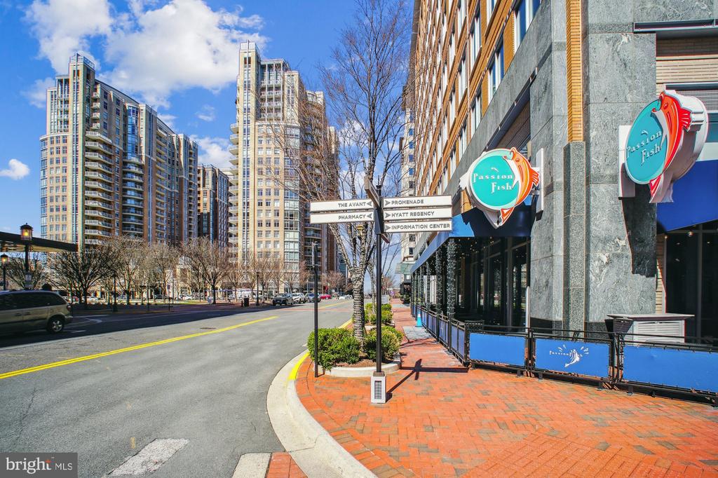 2396 BRANLEIGH PARK COURT