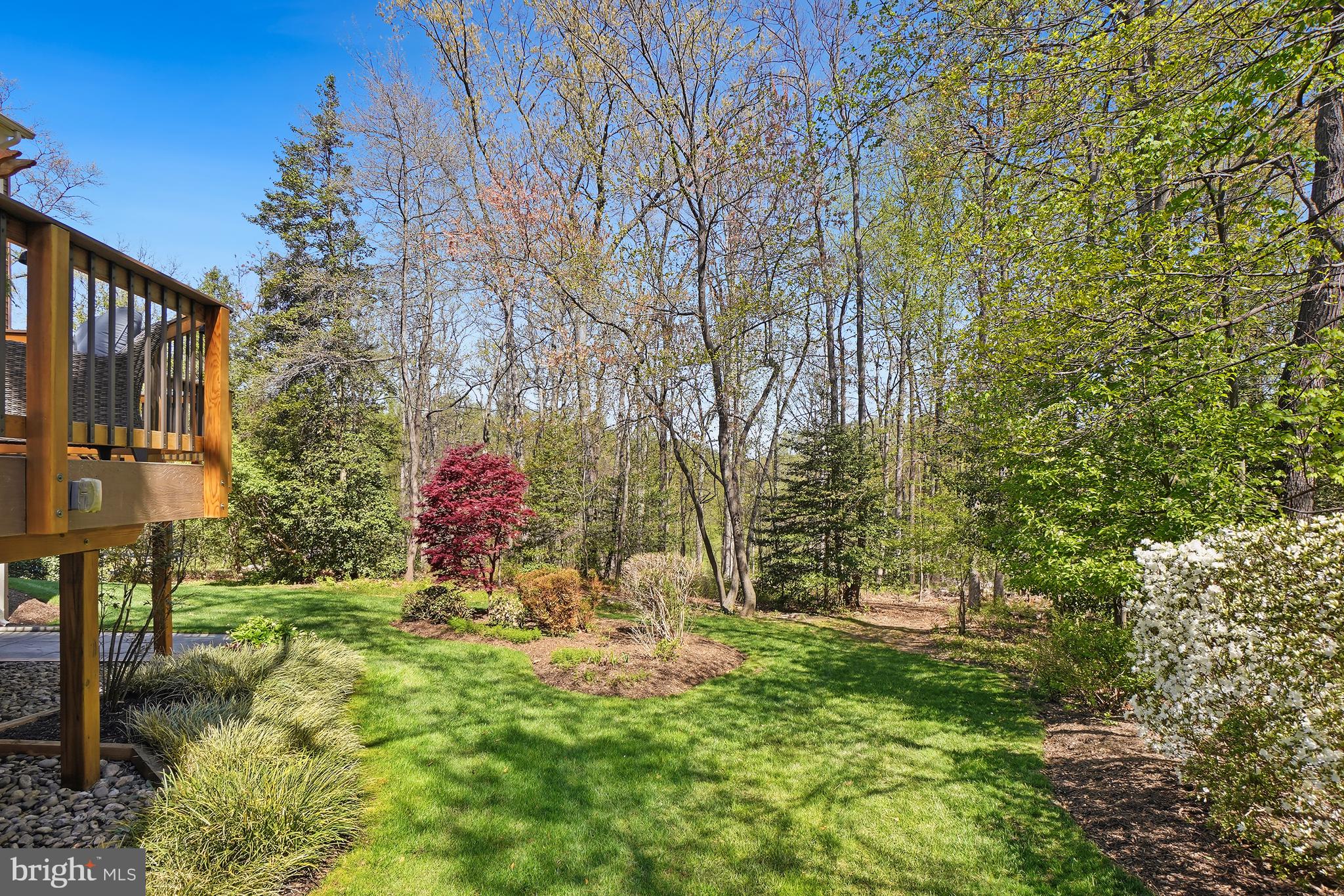 11638 DEER FOREST ROAD