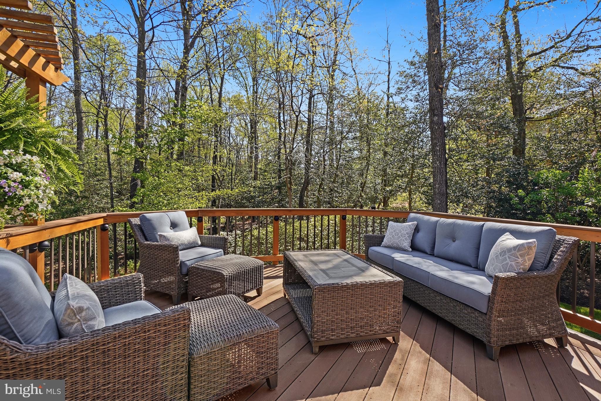 11638 DEER FOREST ROAD