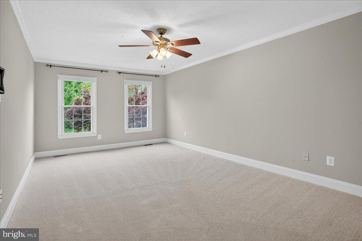 3409 COTTON TOP COURT