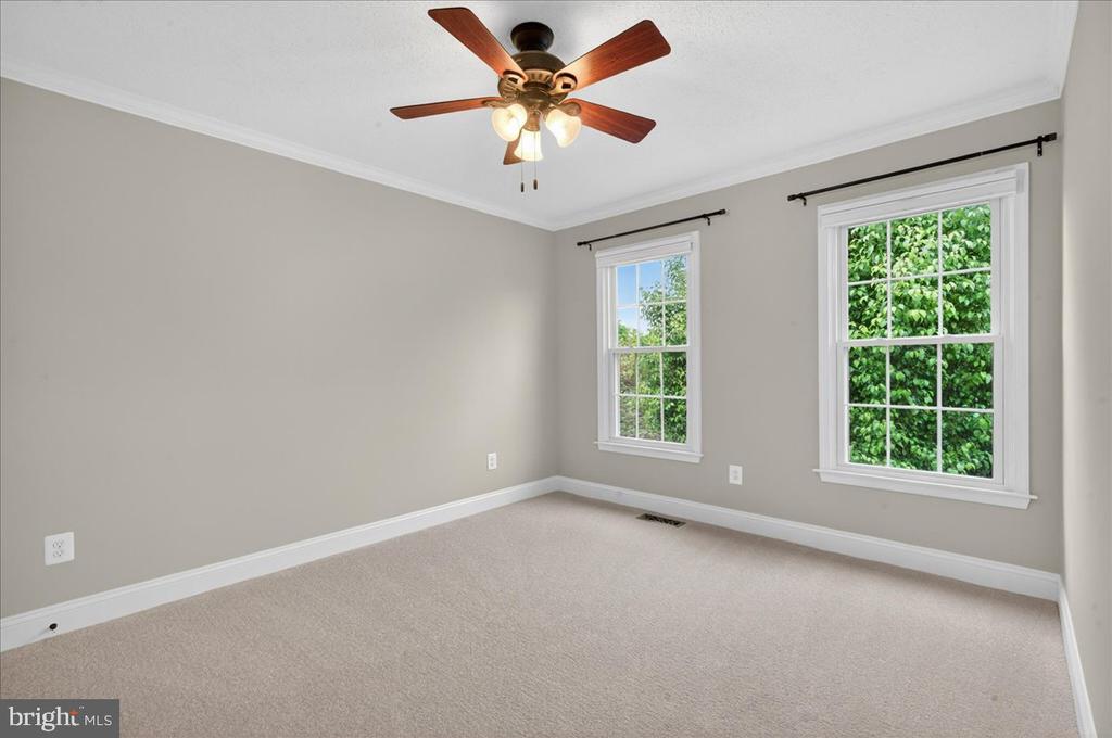 3409 COTTON TOP COURT