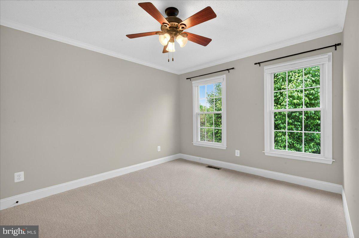 3409 COTTON TOP COURT