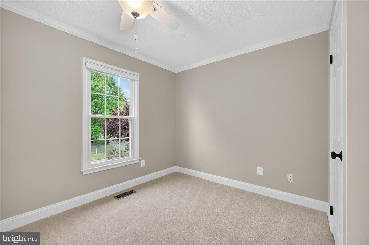 3409 COTTON TOP COURT