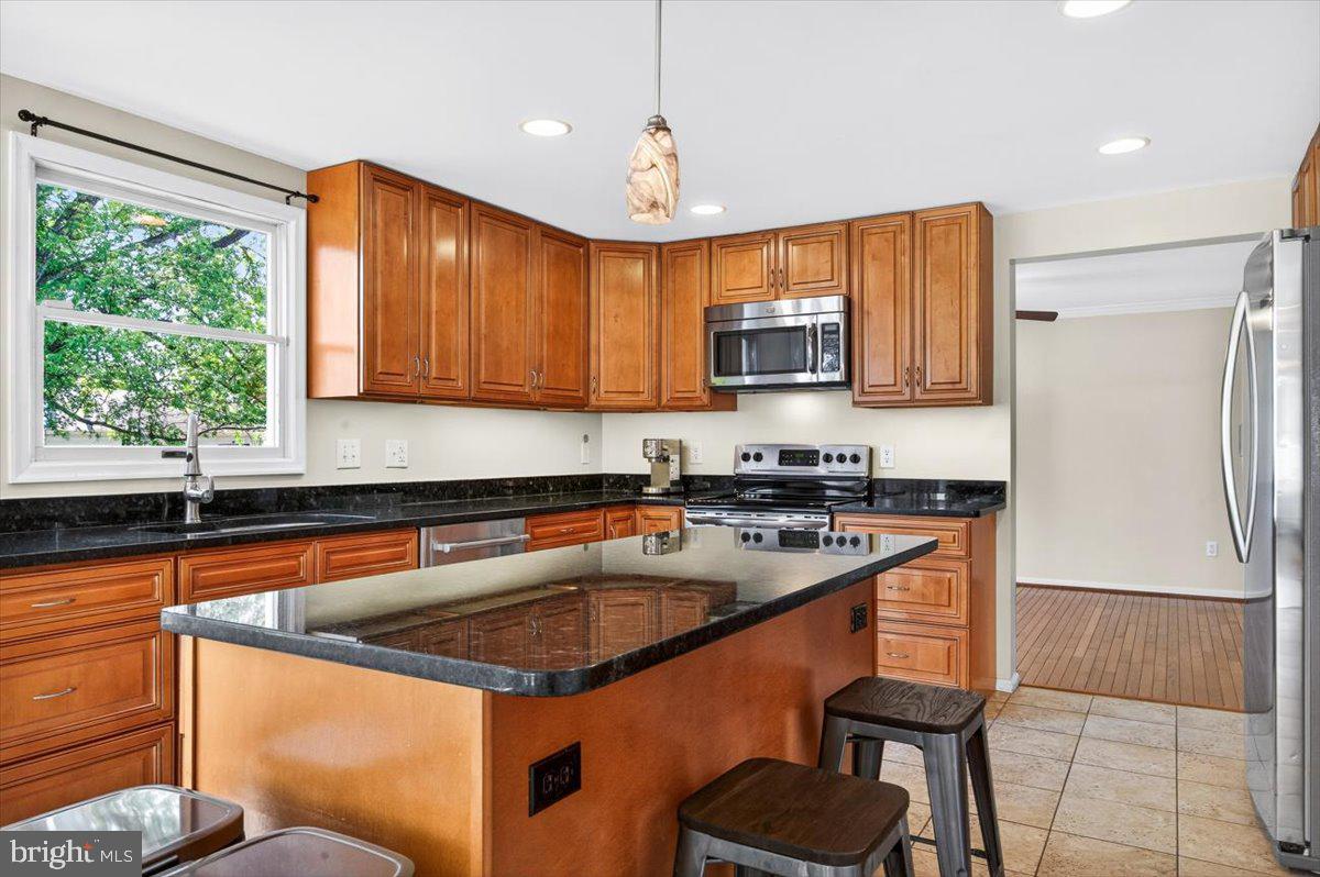 3894 PLUM RUN COURT