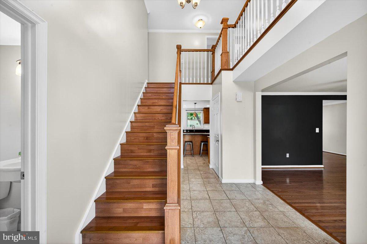 3894 PLUM RUN COURT