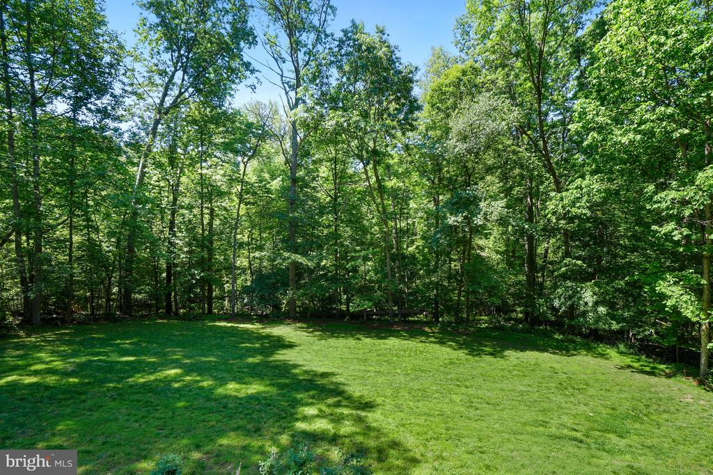11007 RACCOON RIDGE COURT