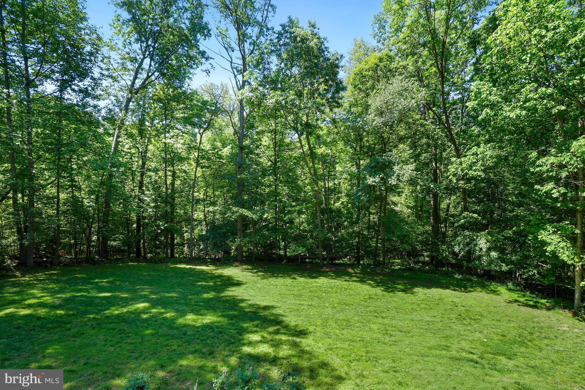 11007 RACCOON RIDGE COURT