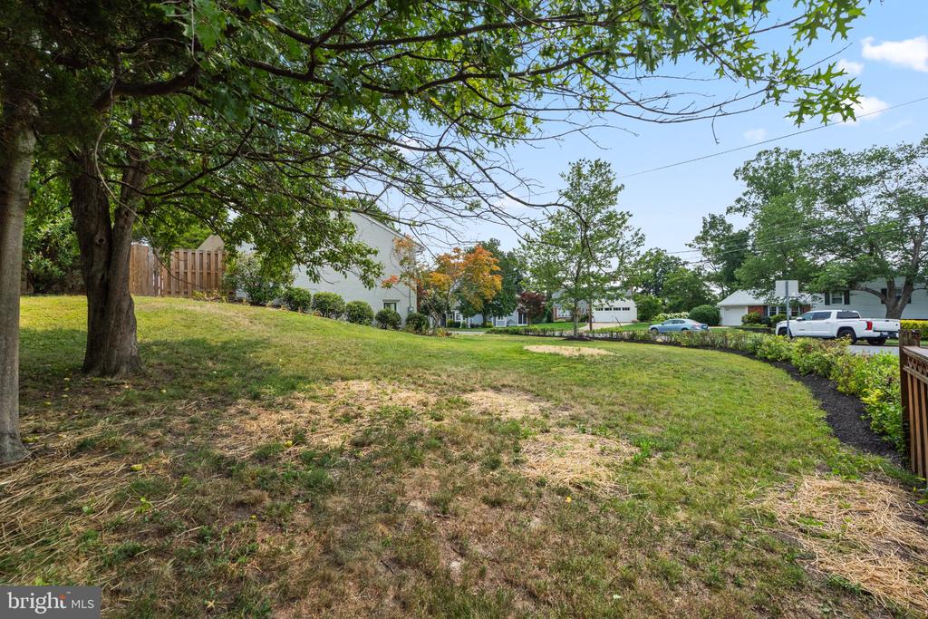 8118 AINSWORTH