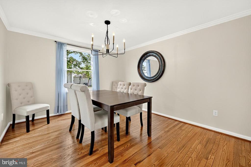 3894 PLUM RUN COURT