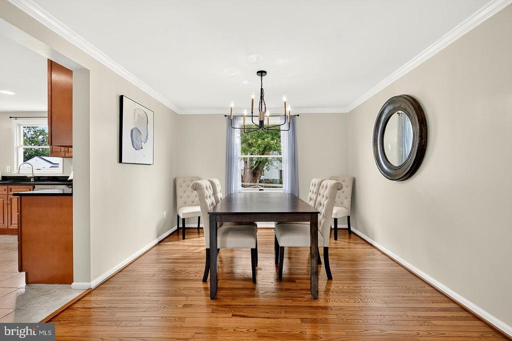 3894 PLUM RUN COURT