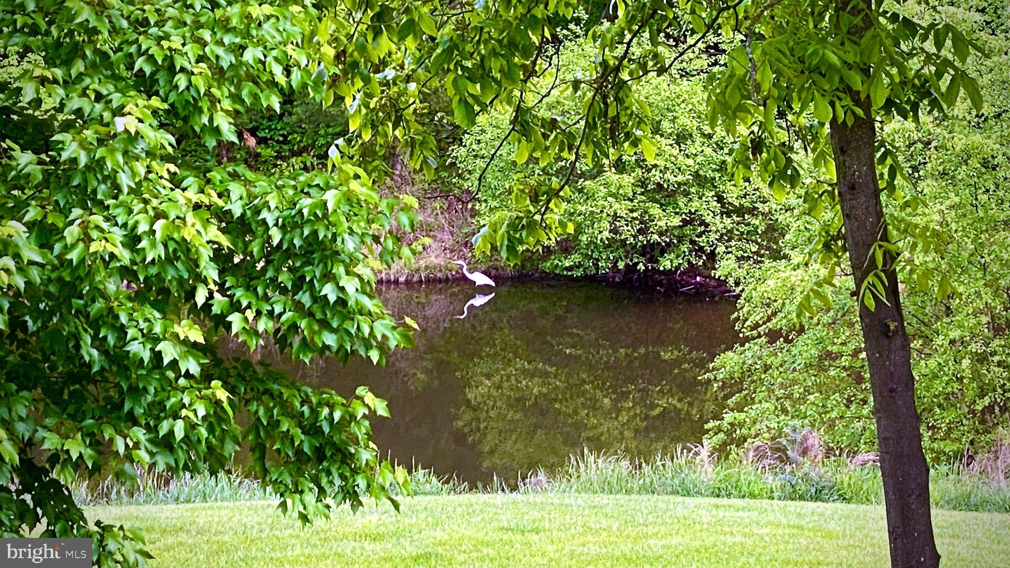 43089 NORTHLAKE OVERLOOK TERRACE