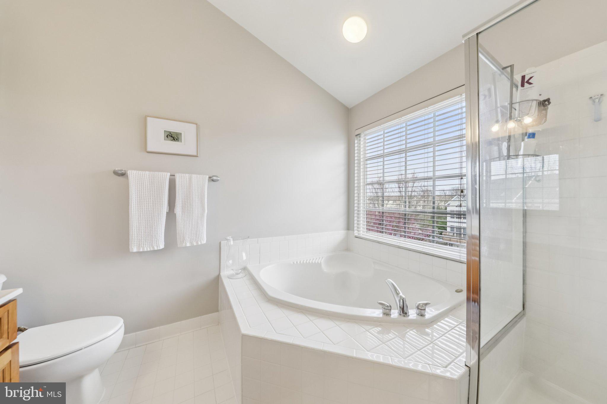 24616 NETTLE MILL SQUARE