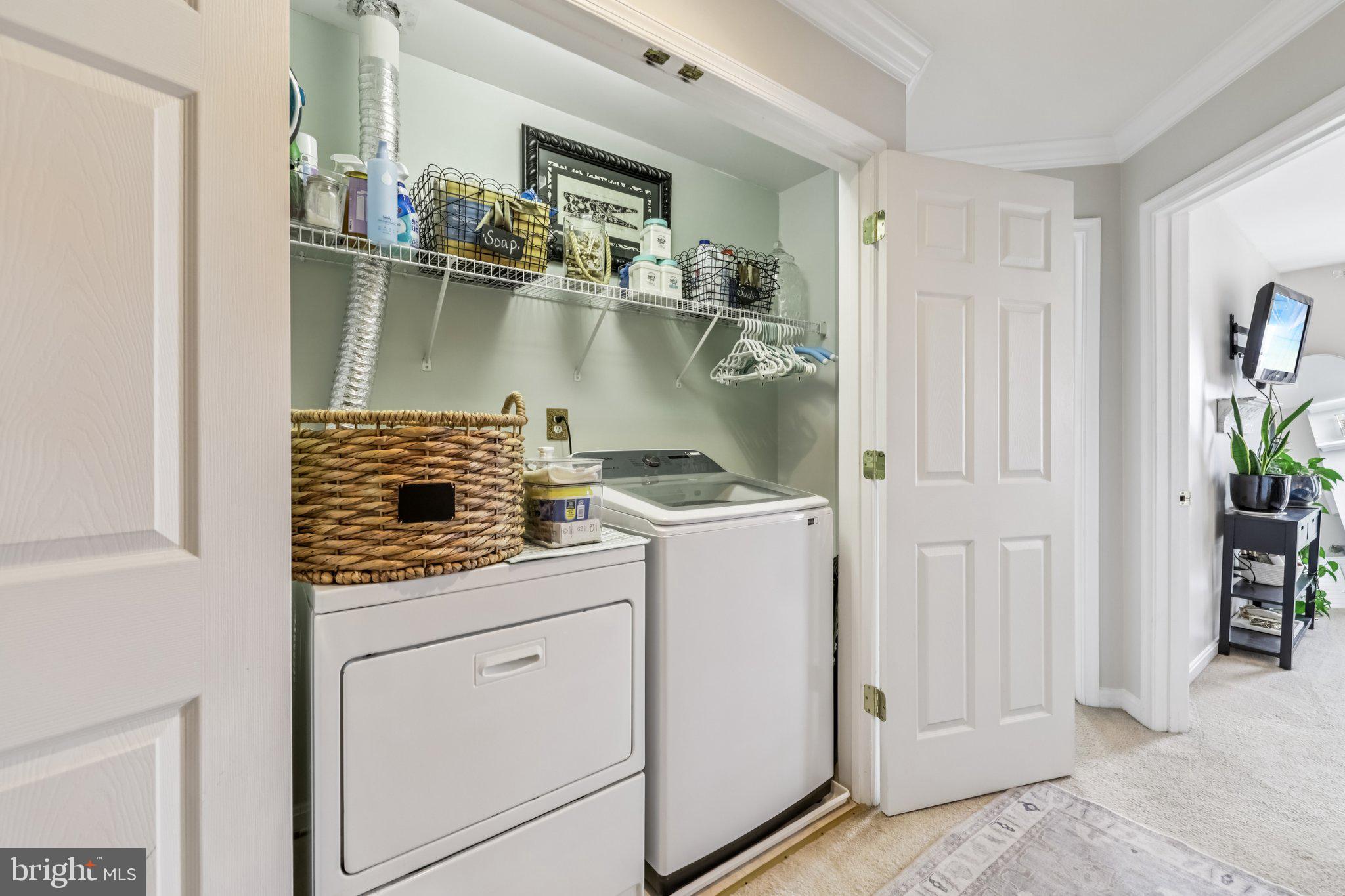 24616 NETTLE MILL SQUARE