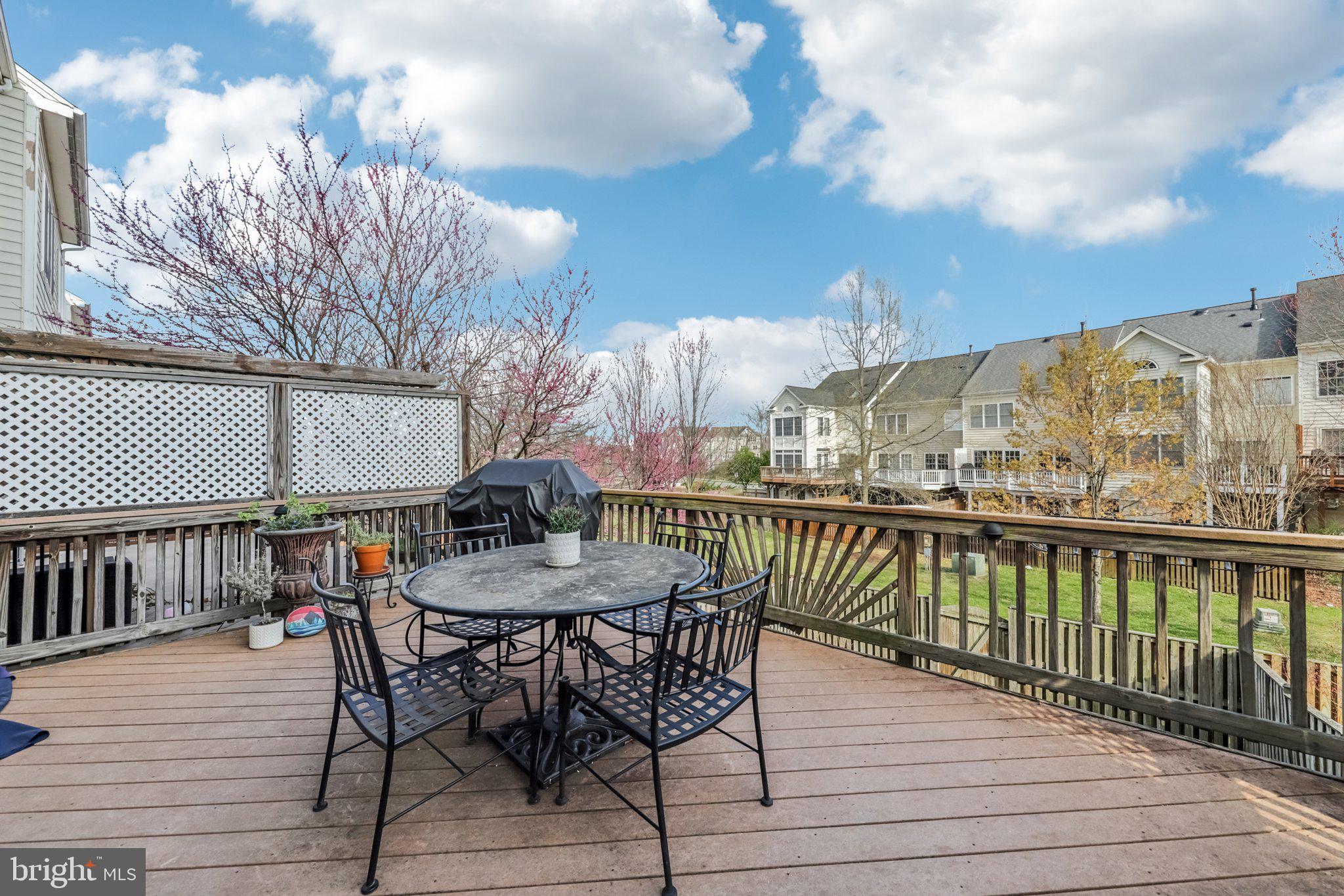 24616 NETTLE MILL SQUARE