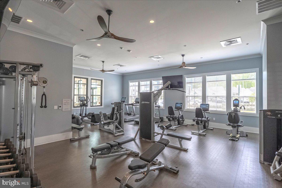 21717 HAWKSBILL HIGH CIRCLE