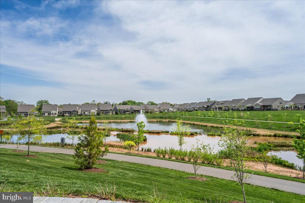 21717 HAWKSBILL HIGH CIRCLE