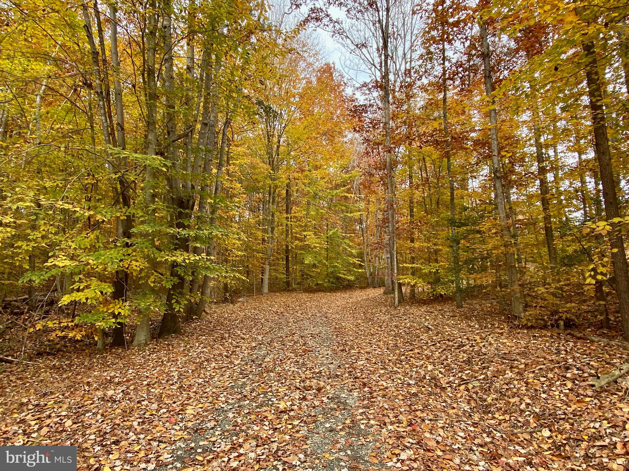 4601 S. BLUE RIDGE TURNPIKE