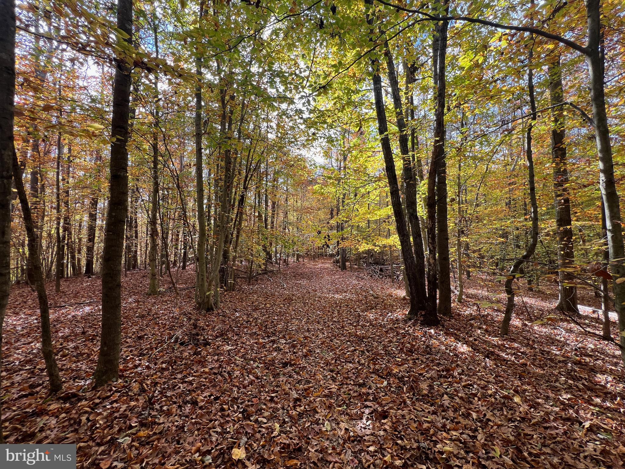 4601 S. BLUE RIDGE TURNPIKE