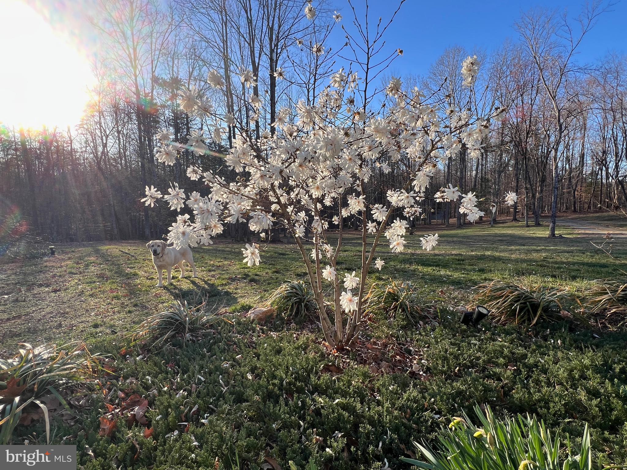 4601 S. BLUE RIDGE TURNPIKE