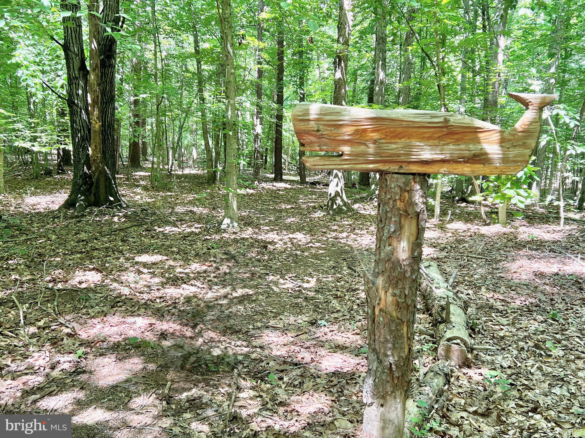 4601 S. BLUE RIDGE TURNPIKE