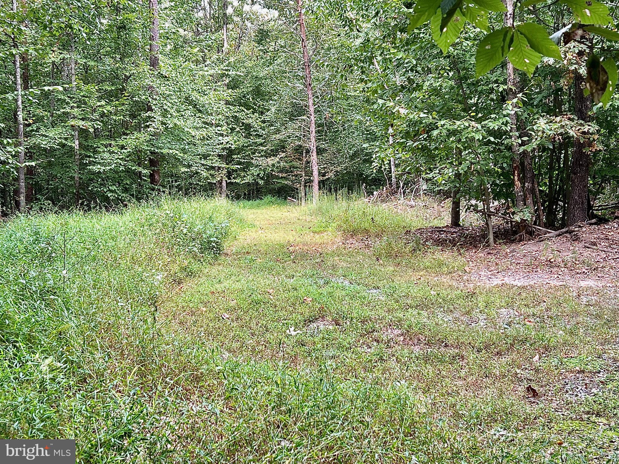 4601 S. BLUE RIDGE TURNPIKE