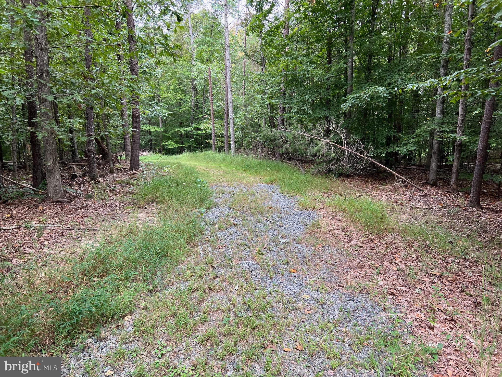 4601 S. BLUE RIDGE TURNPIKE