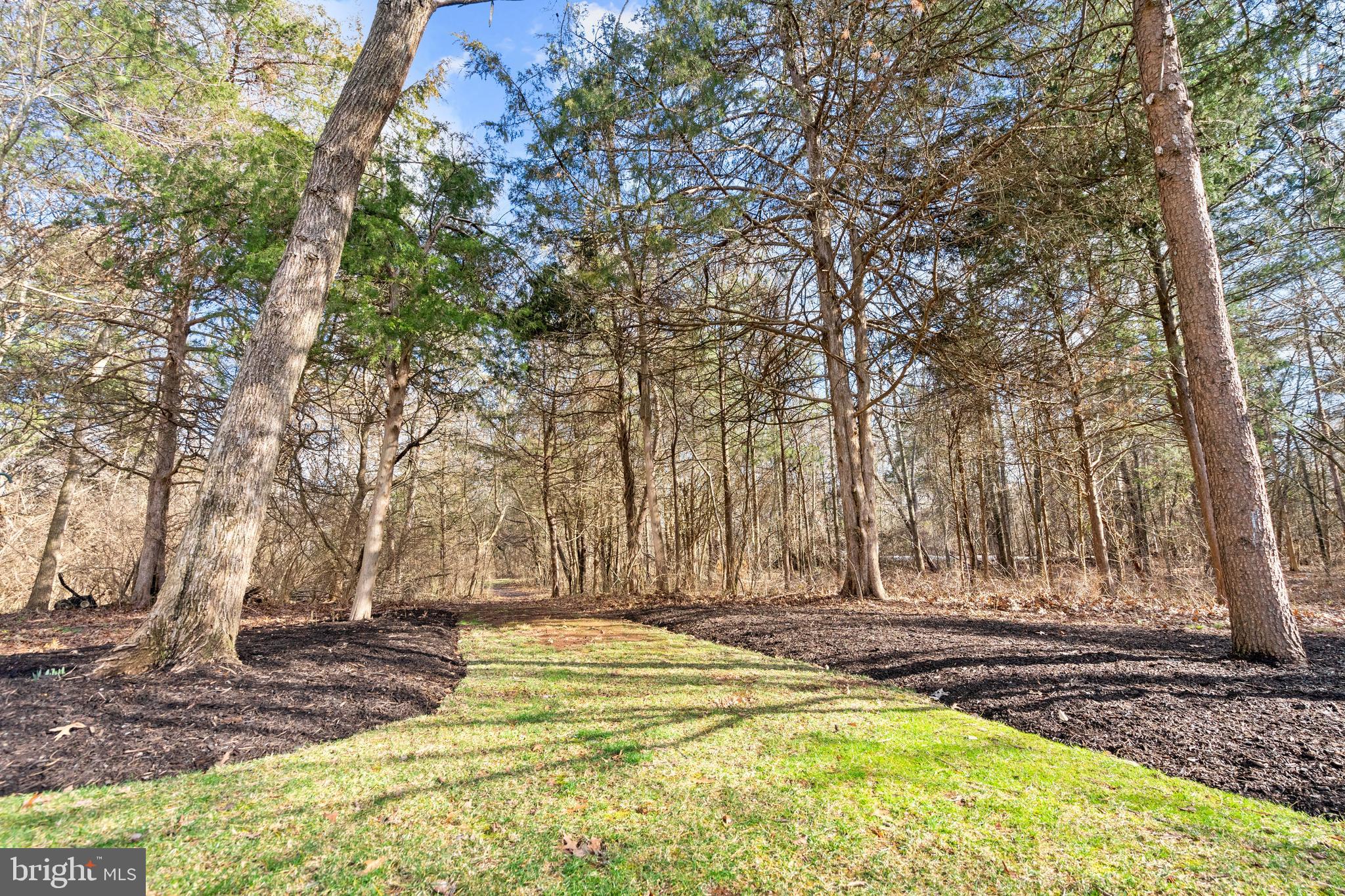 12101 STRETFORD FOREST COURT