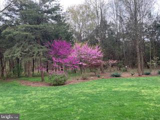 12101 STRETFORD FOREST COURT