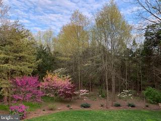 12101 STRETFORD FOREST COURT