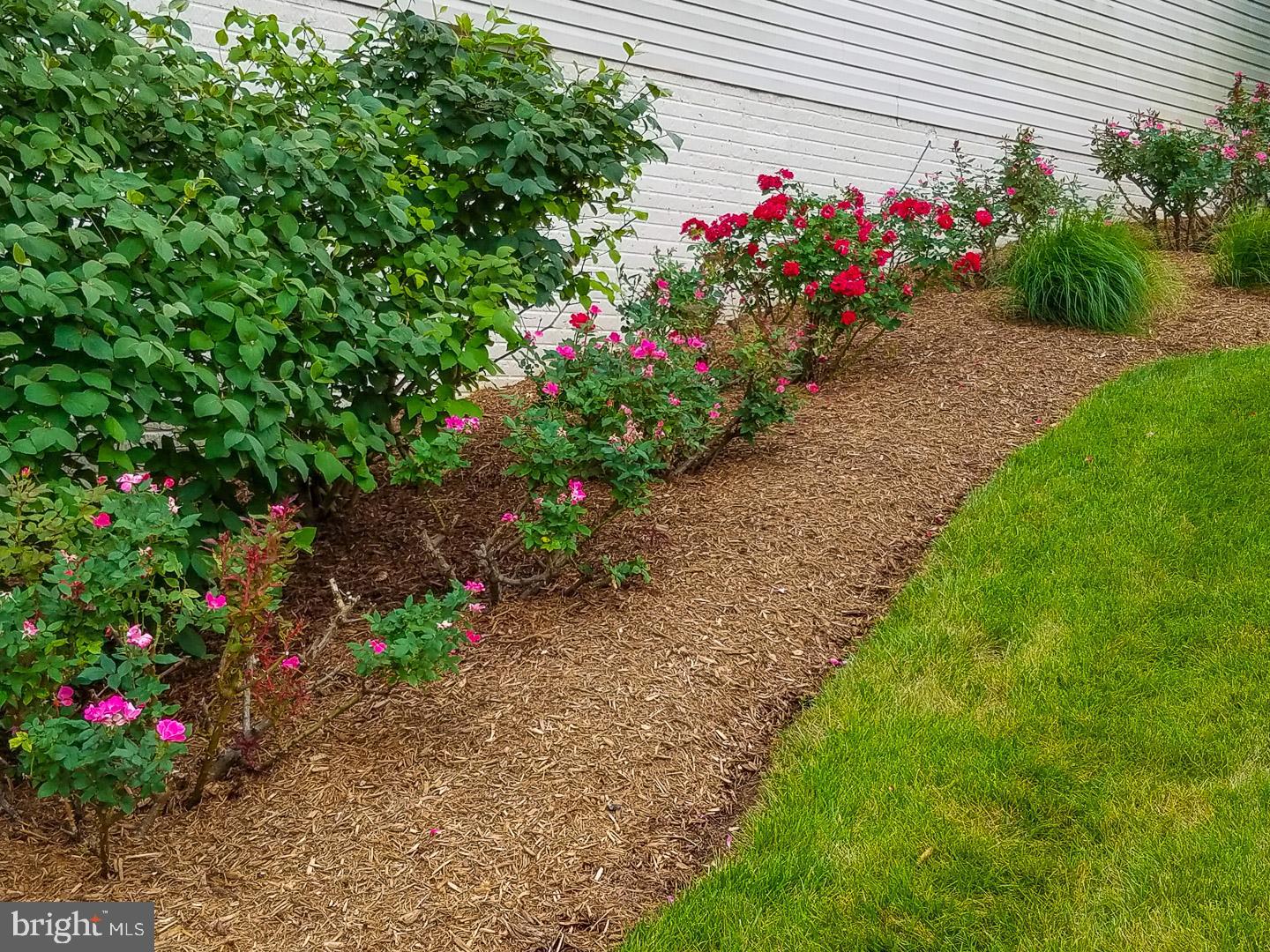 10466 MANNS HARBOR COURT