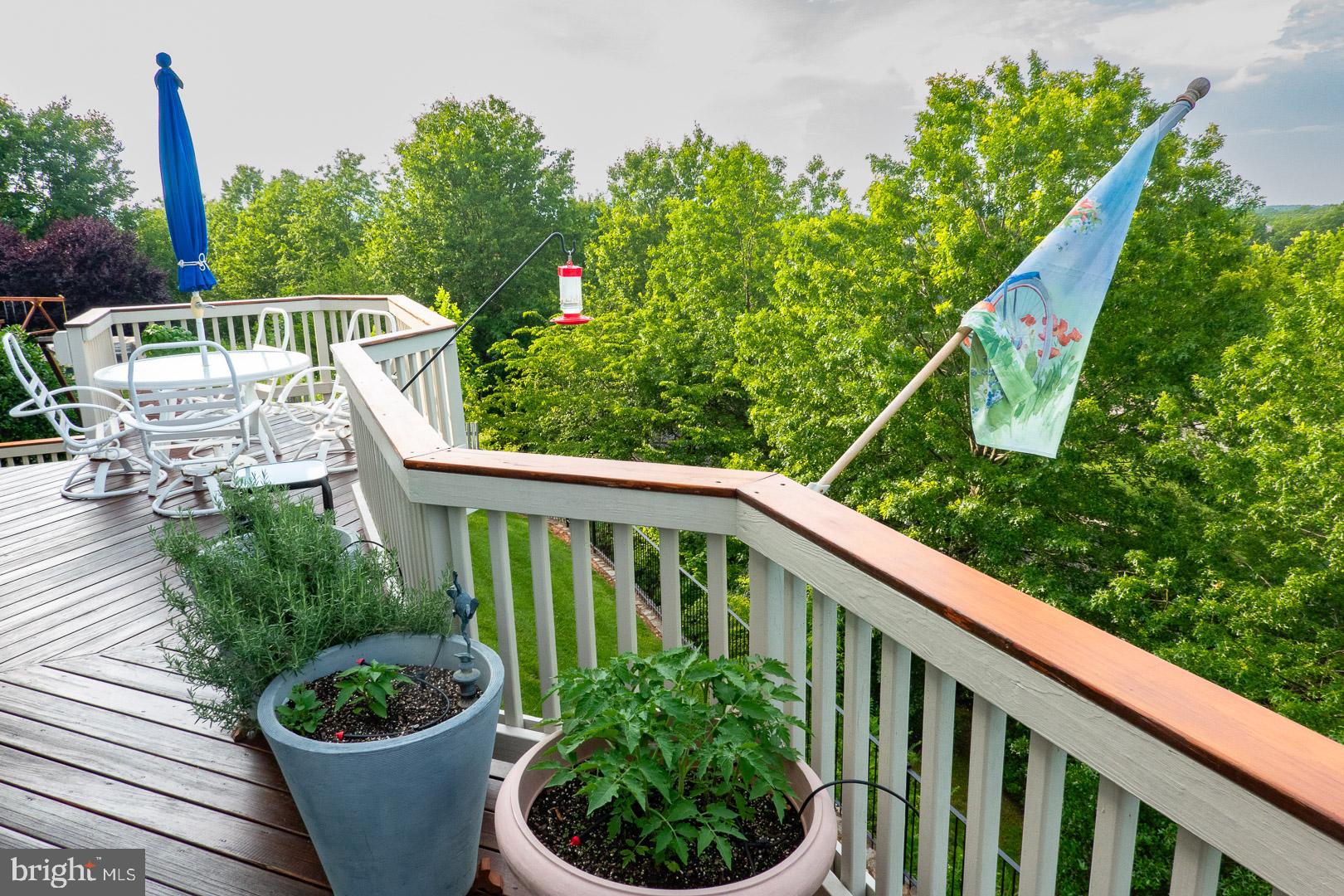 10466 MANNS HARBOR COURT