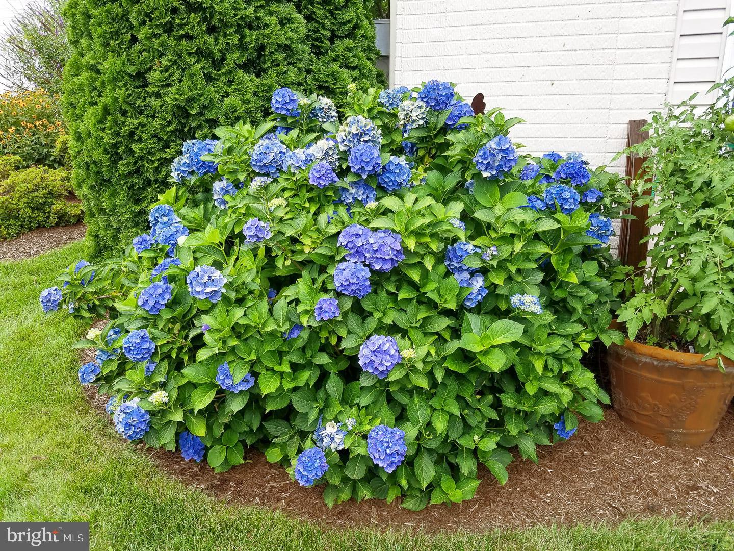 10466 MANNS HARBOR COURT