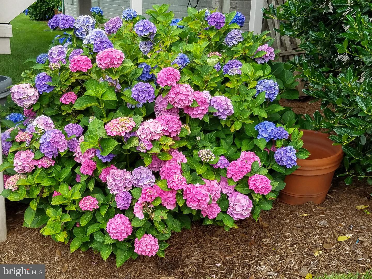 10466 MANNS HARBOR COURT