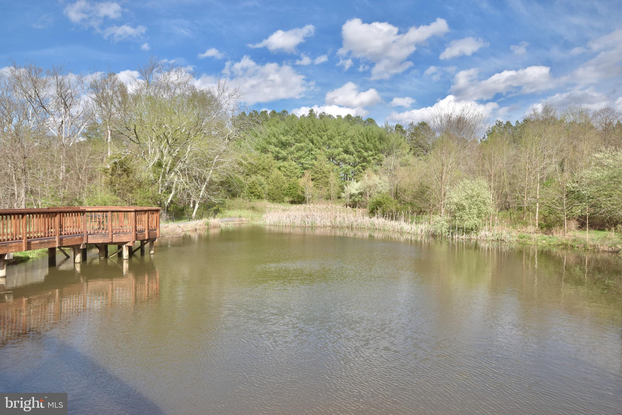 15201 ROYAL CREST DRIVE 304