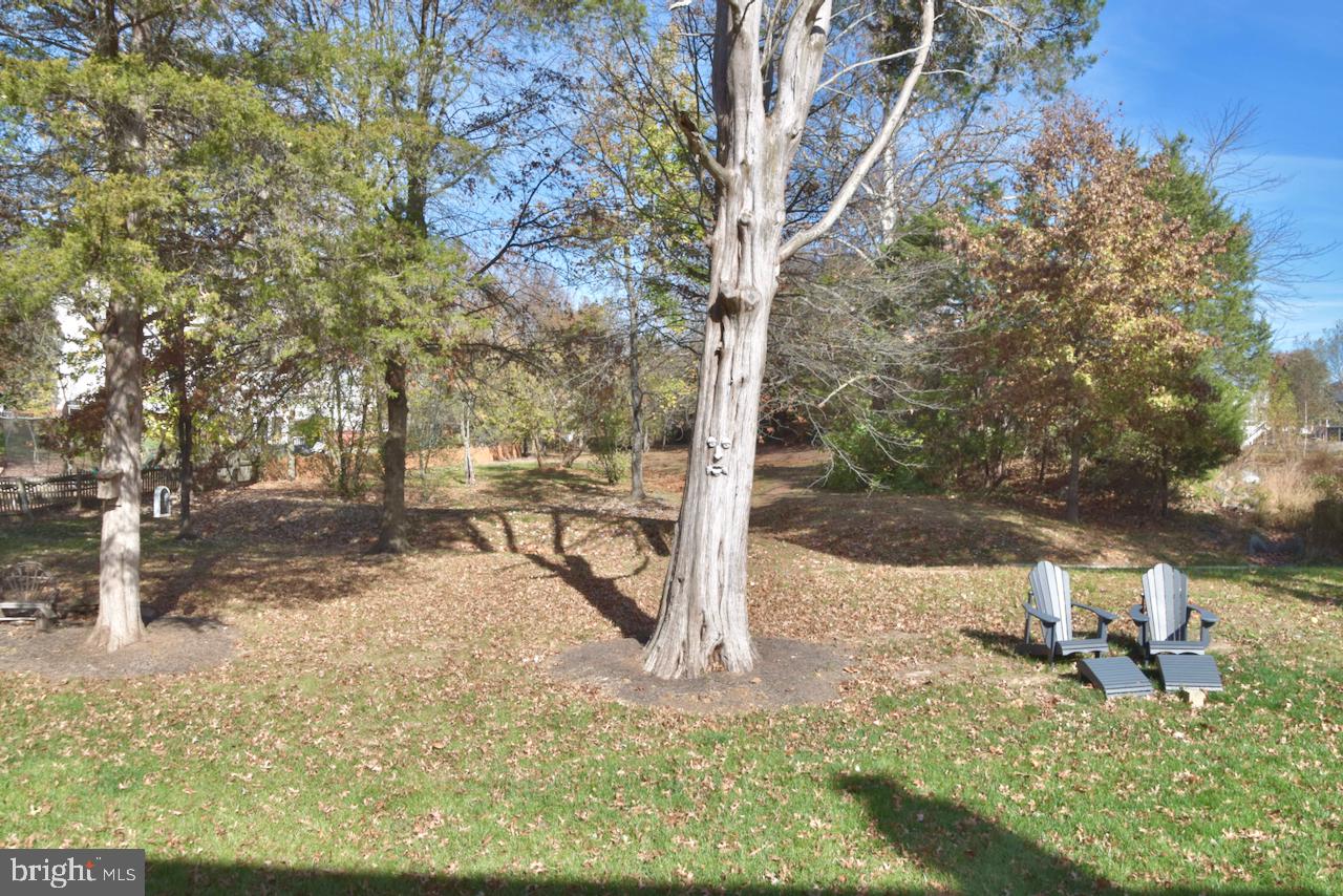 12604 CRABTREE FALLS DRIVE