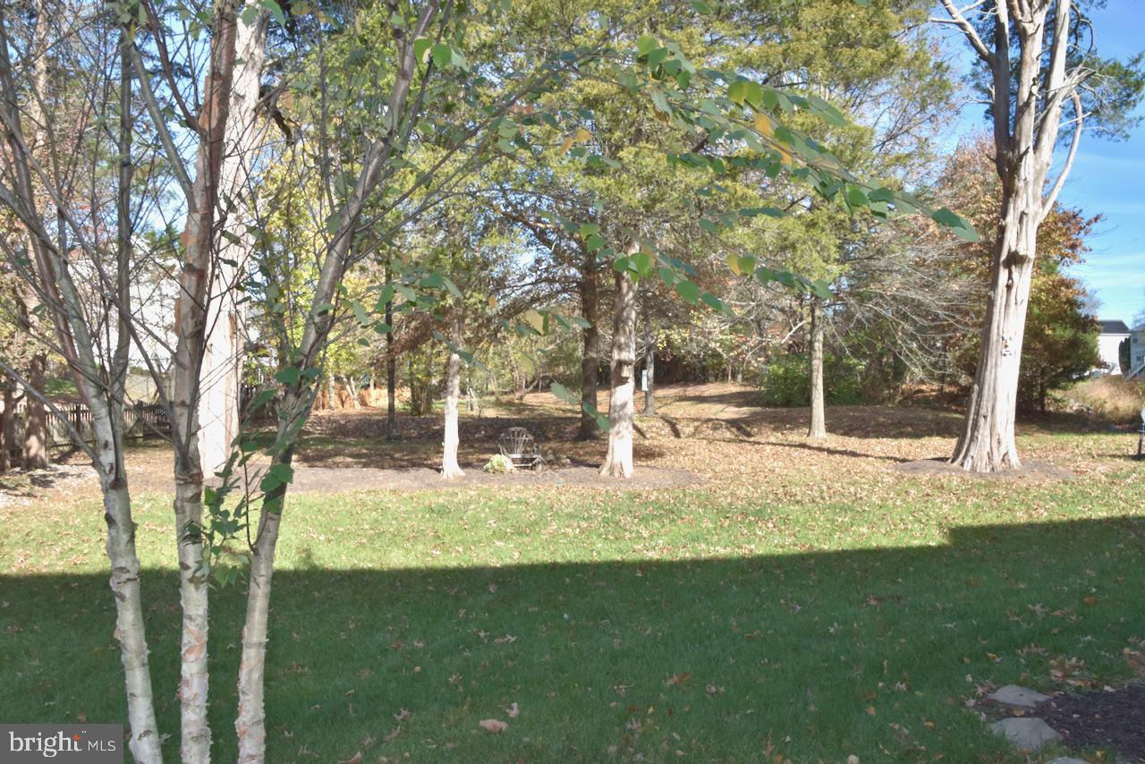 12604 CRABTREE FALLS DRIVE