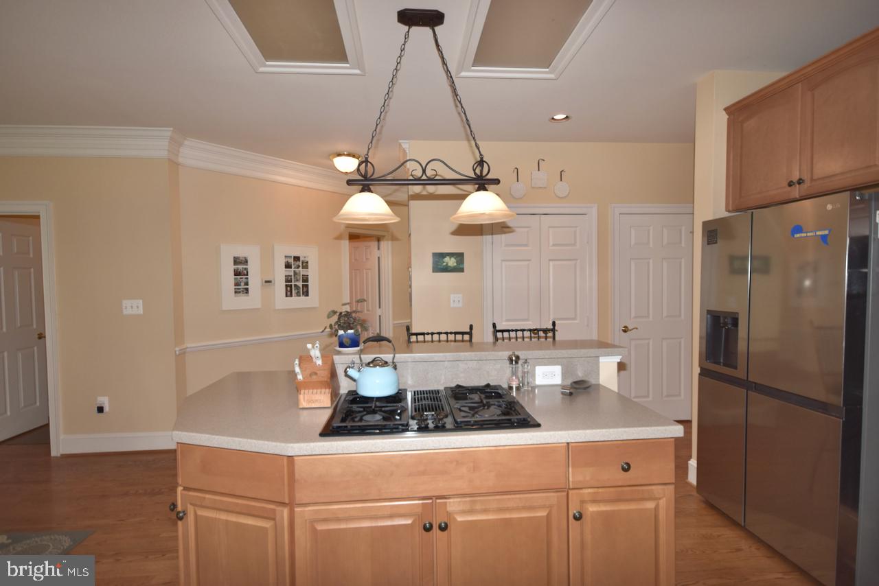 12604 CRABTREE FALLS DRIVE
