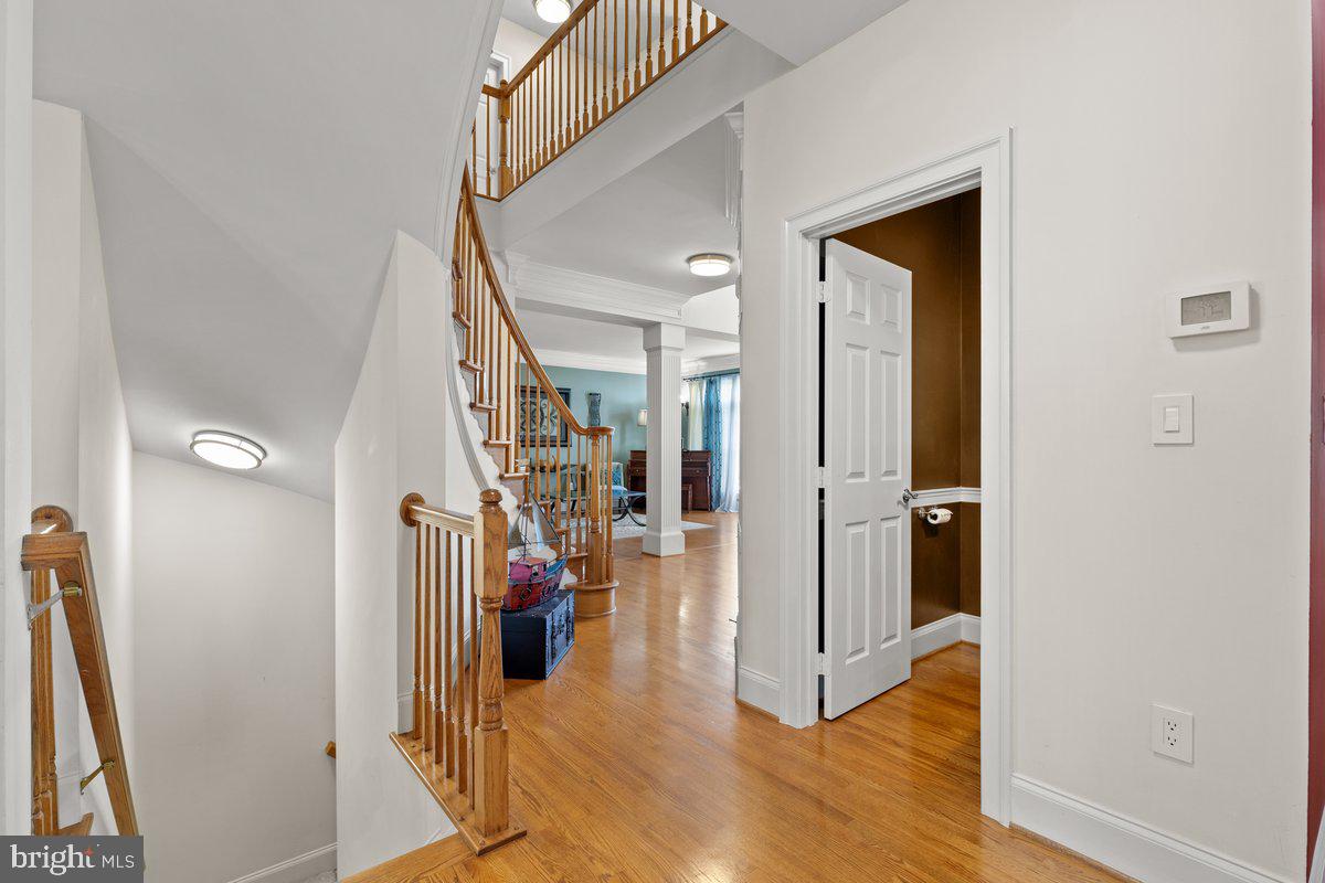 14381 BROADWINGED DRIVE