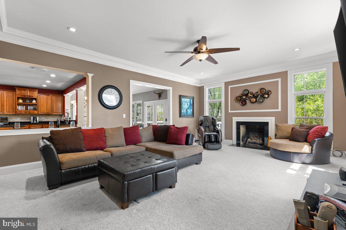 14381 BROADWINGED DRIVE