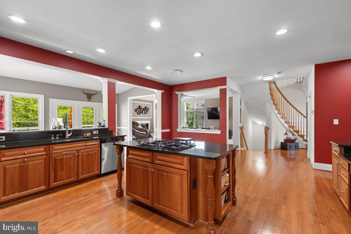 14381 BROADWINGED DRIVE