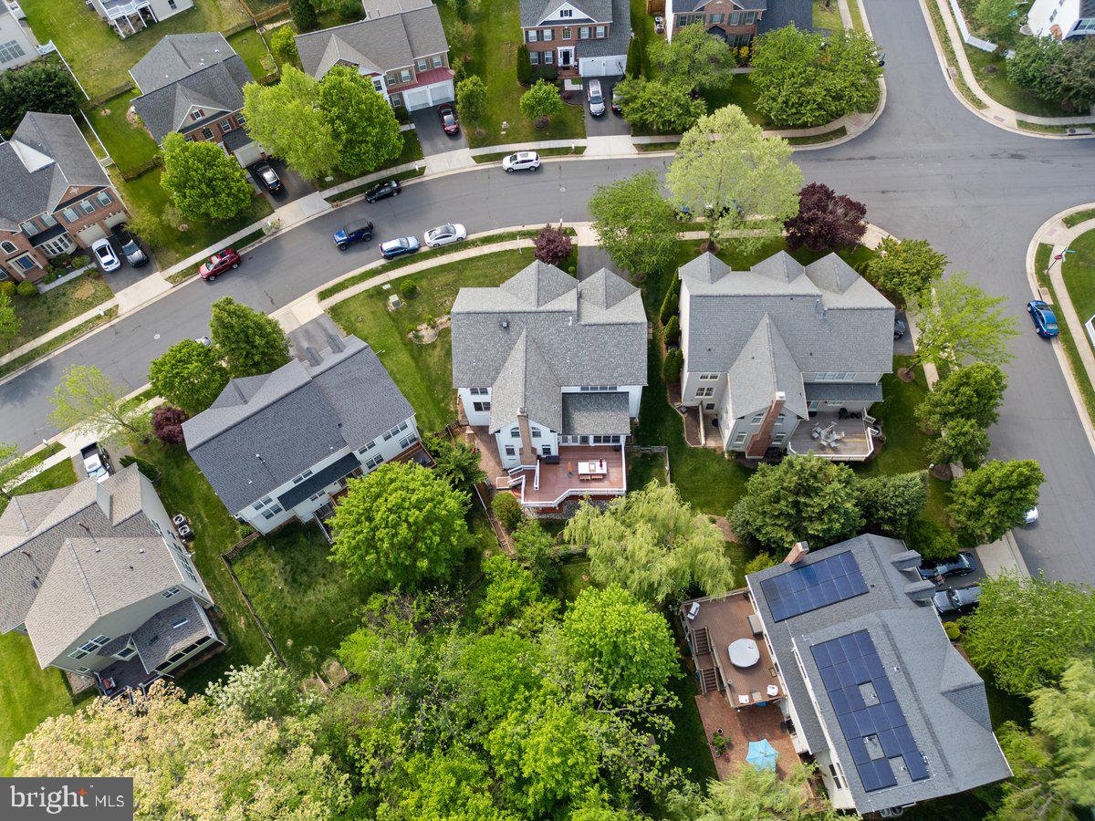 14381 BROADWINGED DRIVE