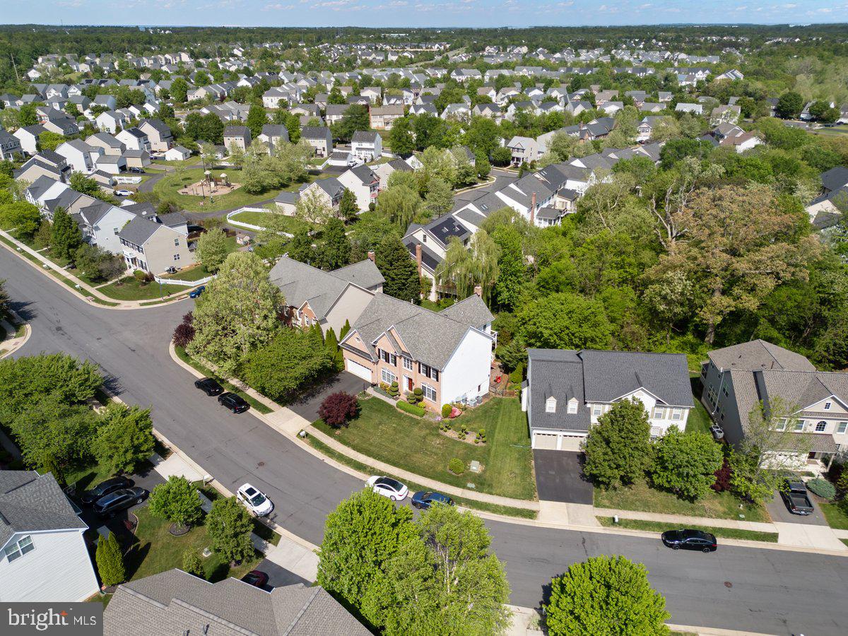 14381 BROADWINGED DRIVE