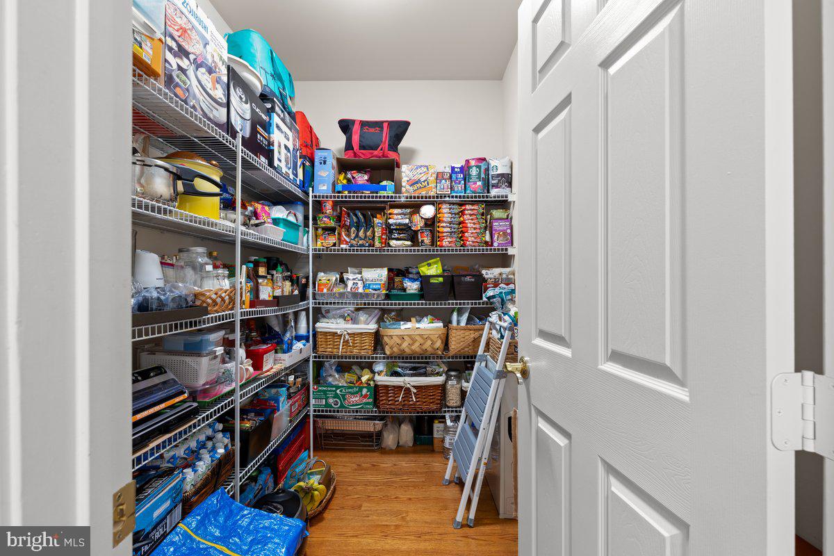 14381 BROADWINGED DRIVE