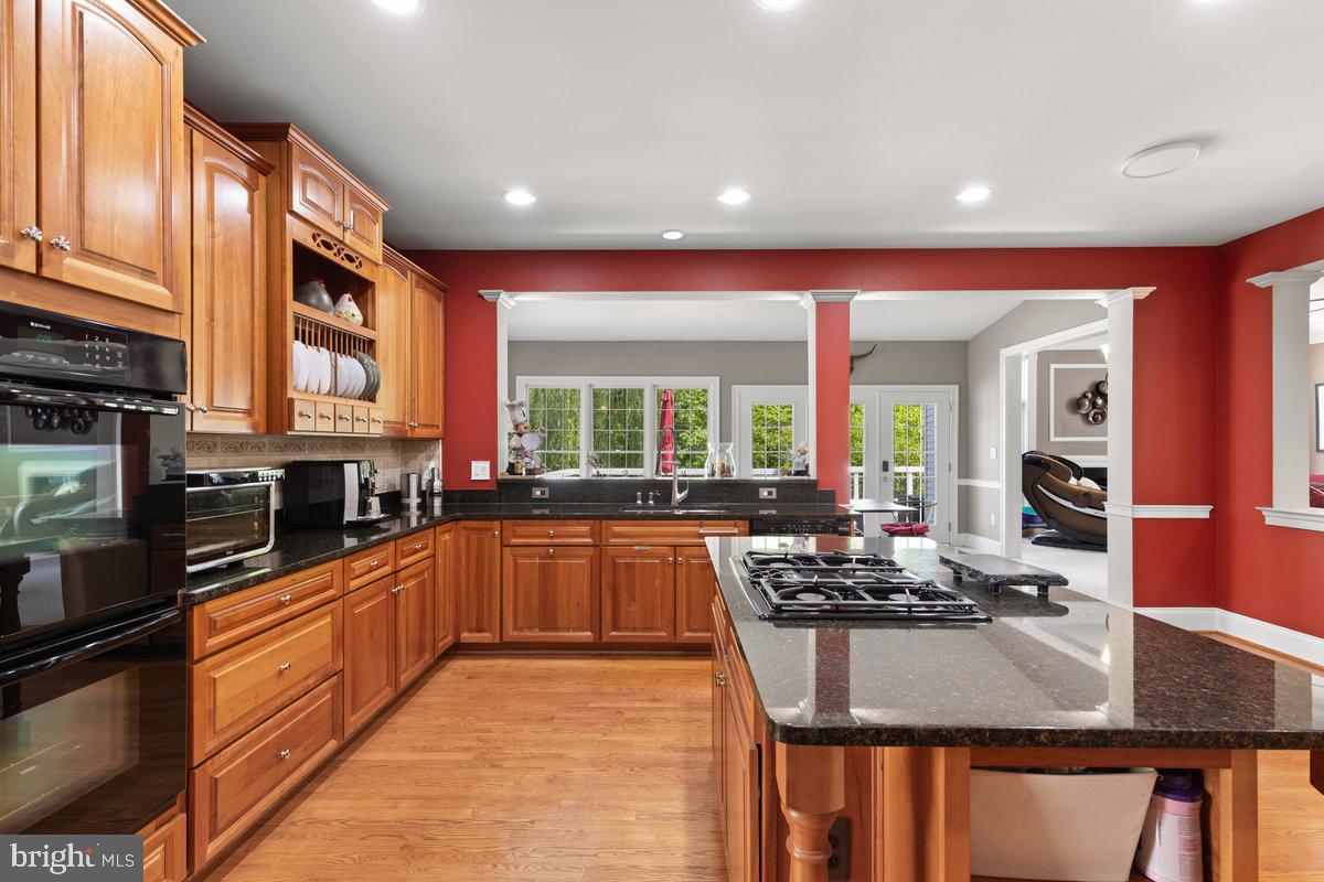 14381 BROADWINGED DRIVE