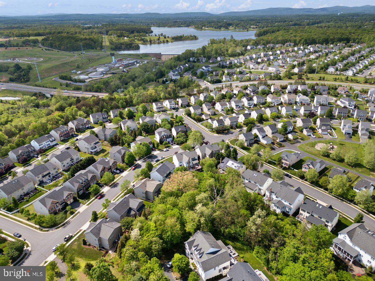 14381 BROADWINGED DRIVE