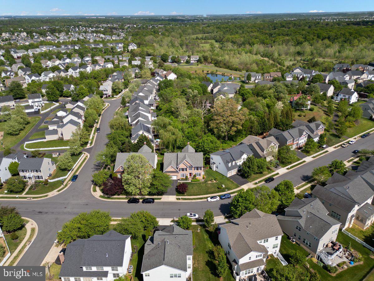 14381 BROADWINGED DRIVE