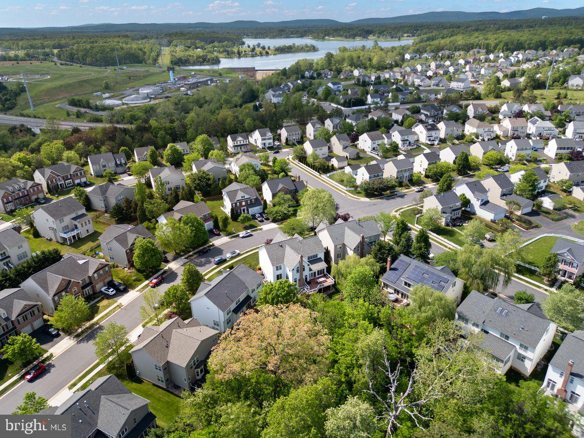 14381 BROADWINGED DRIVE