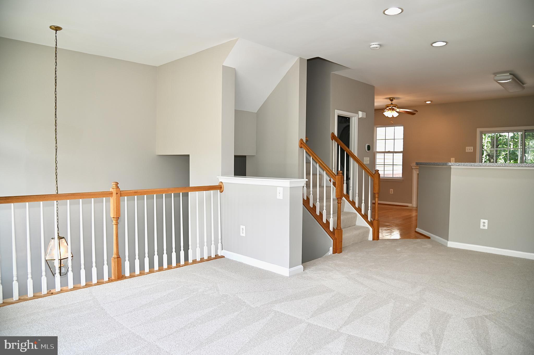 10167 PALE ROSE LOOP