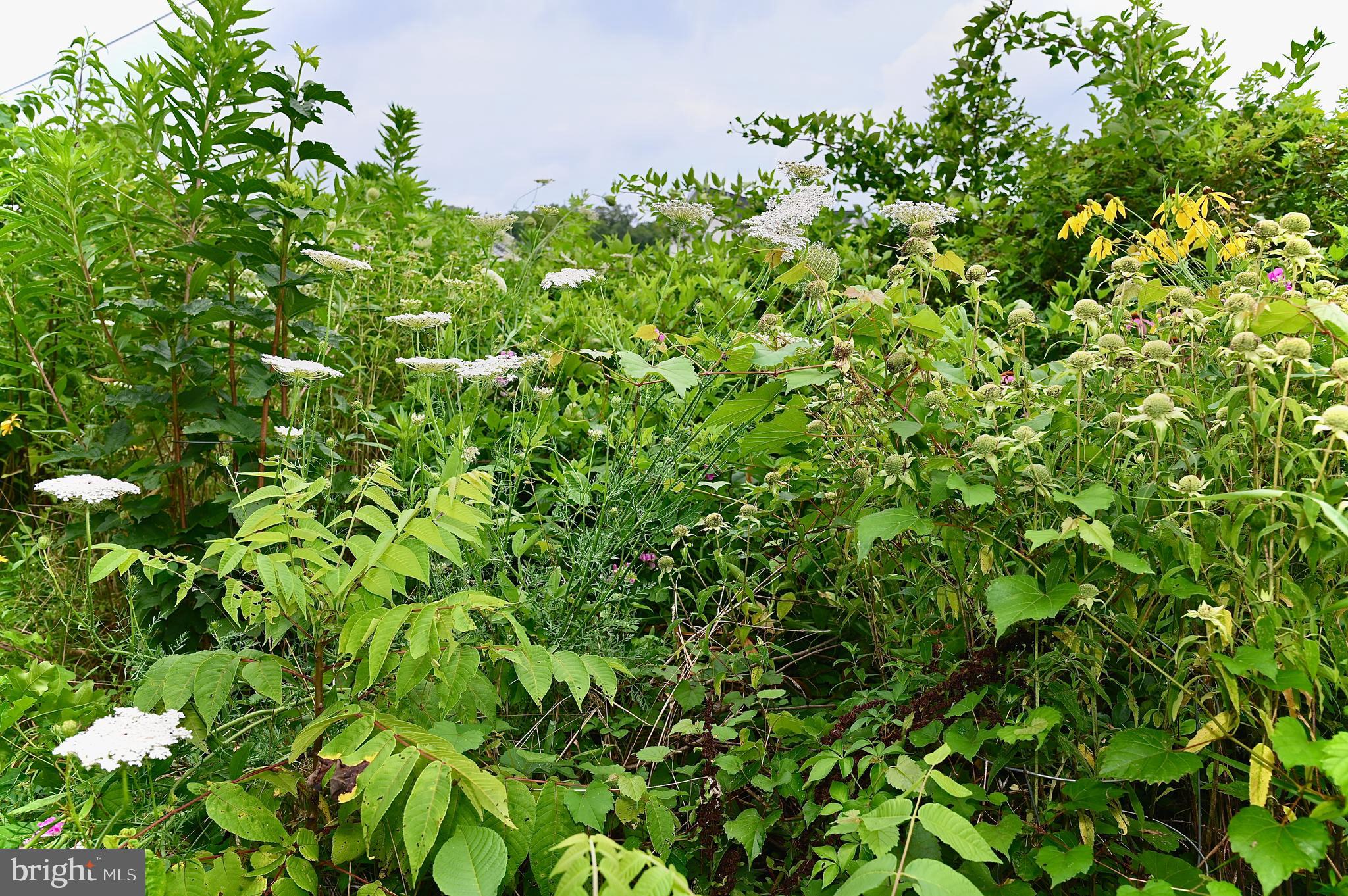 12220 FITZGERALD WAY