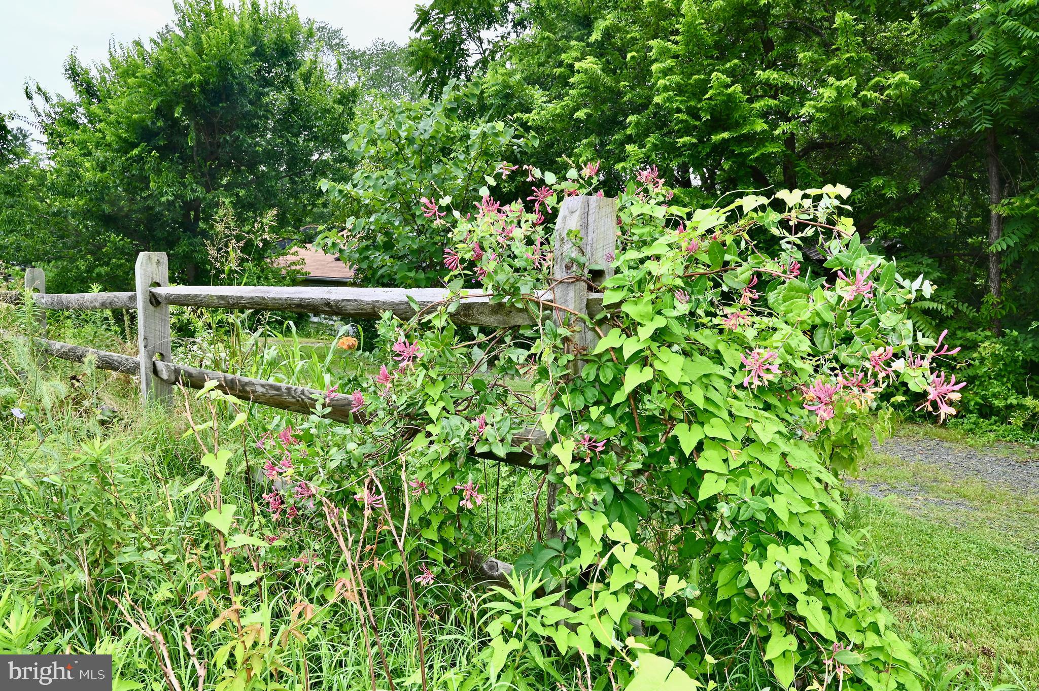 12220 FITZGERALD WAY